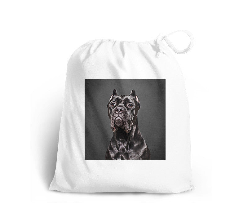 Shoe Bag-Design Your Own