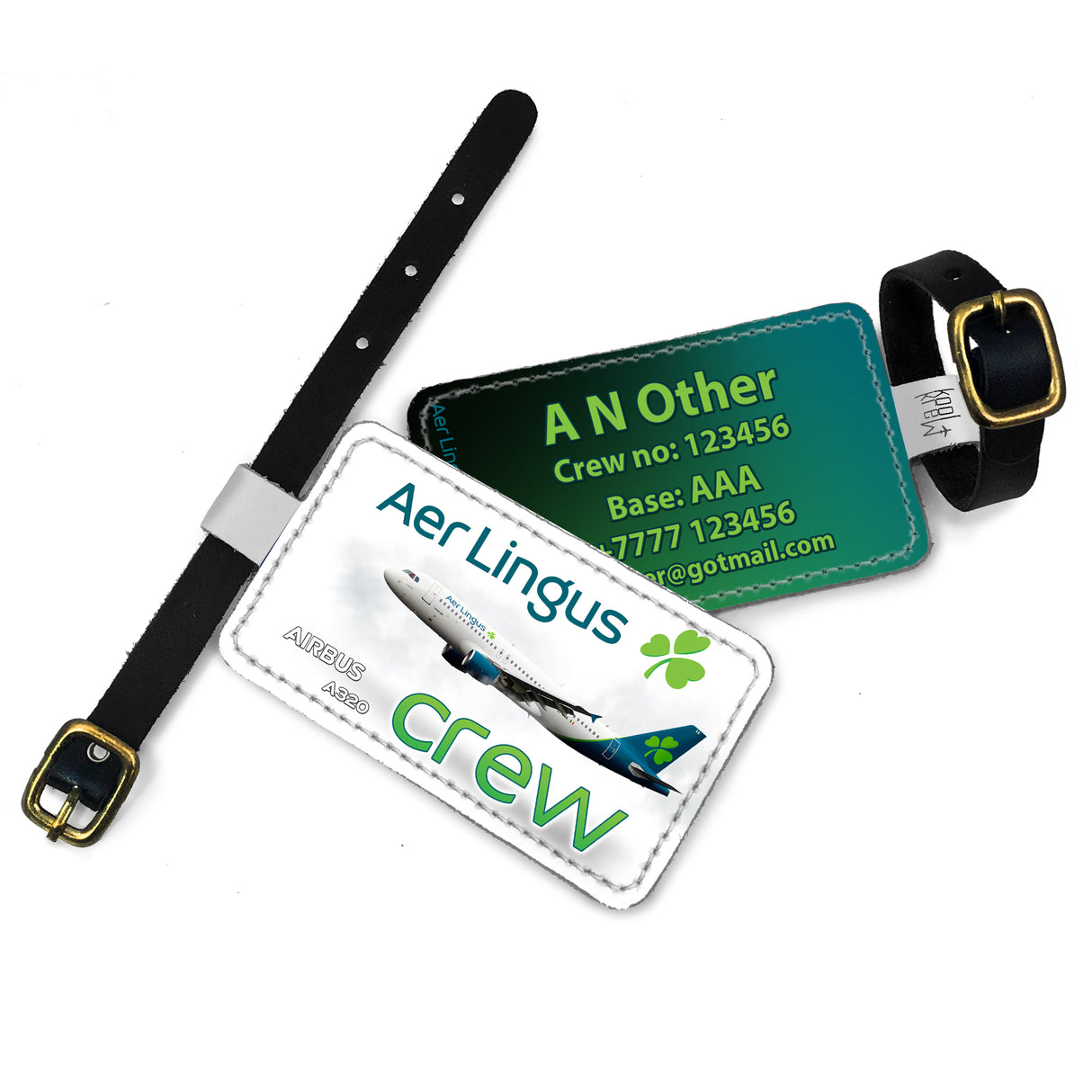 Aer Lingus A320 White