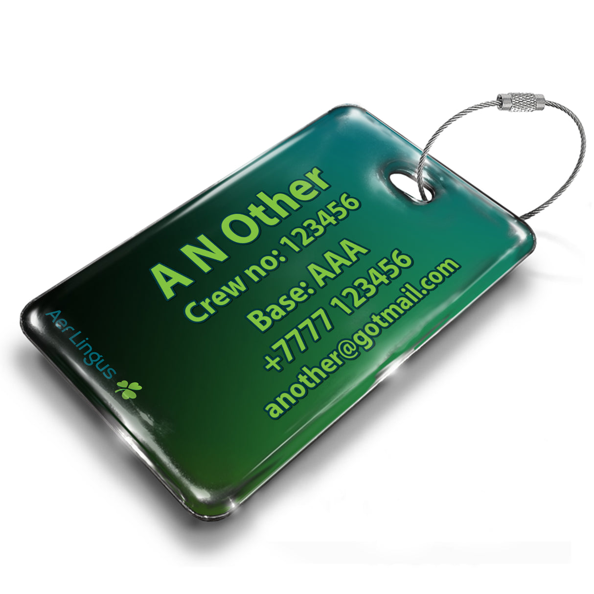 Aer Lingus A320 White