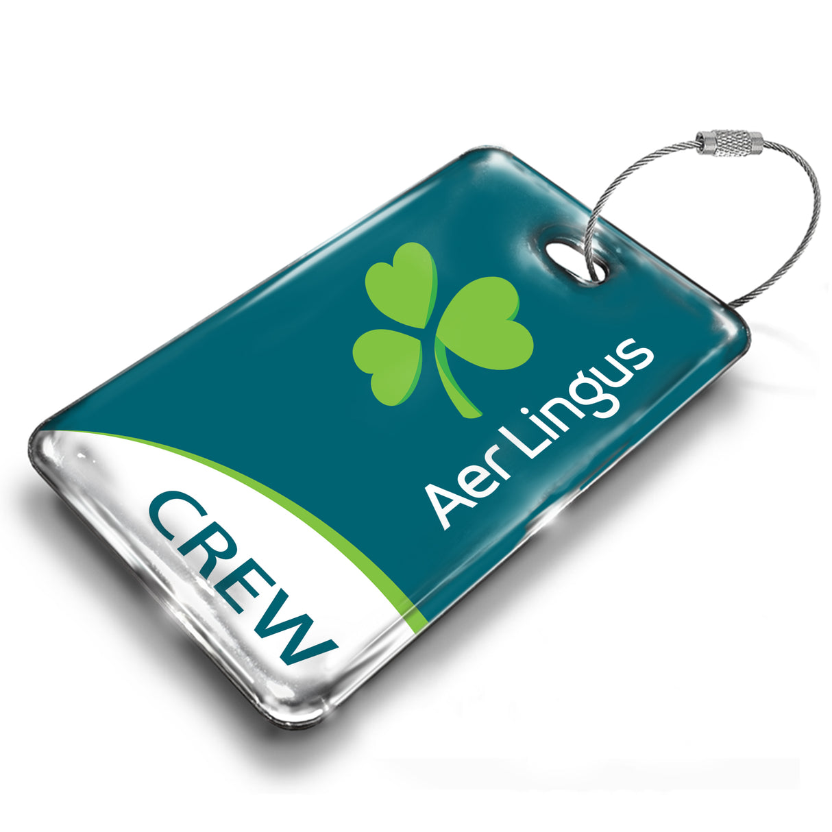 Aer Lingus Logo Duo