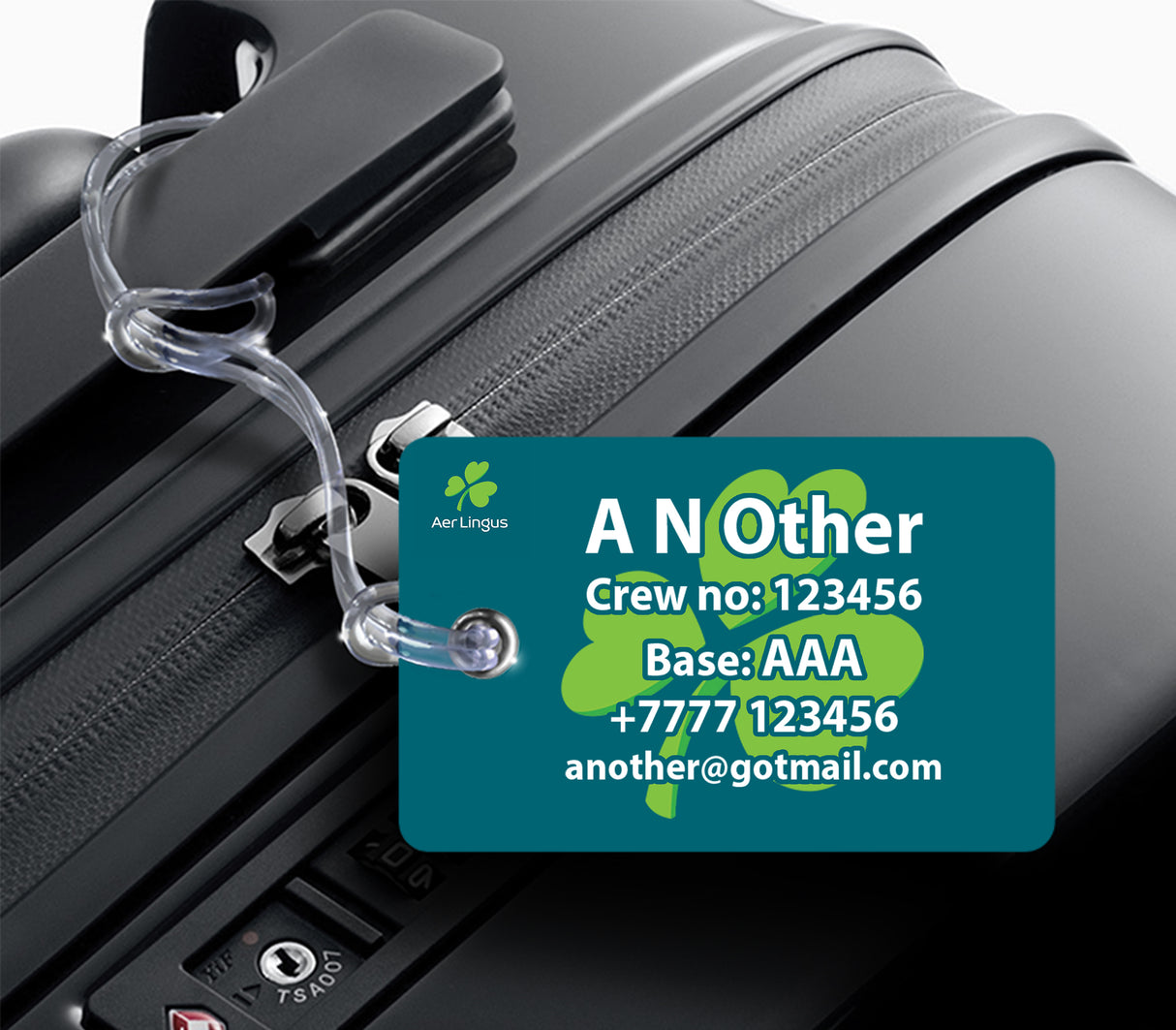 Aer Lingus Logo Duo