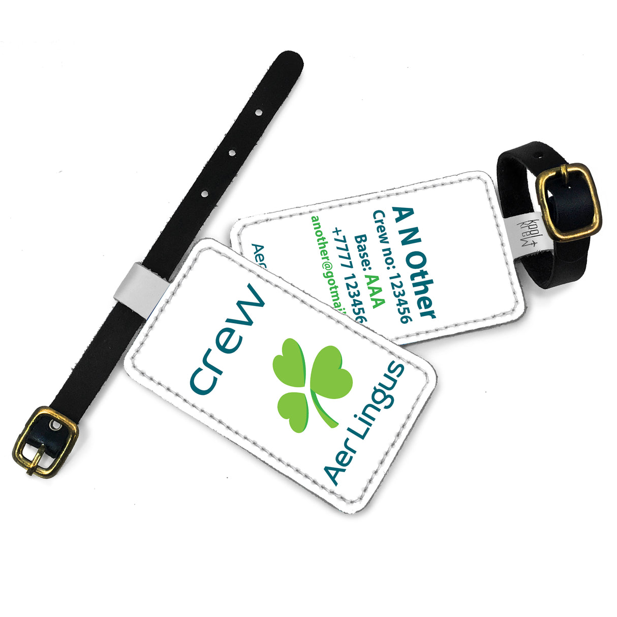 Aer Lingus Logo White