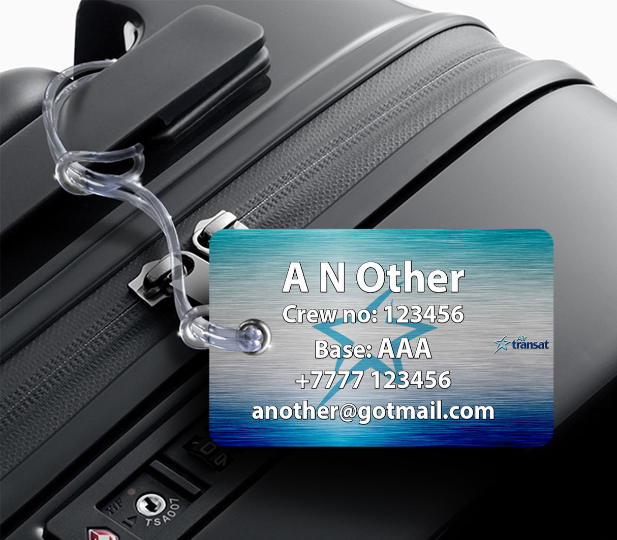 Air Transat A310 Metallic