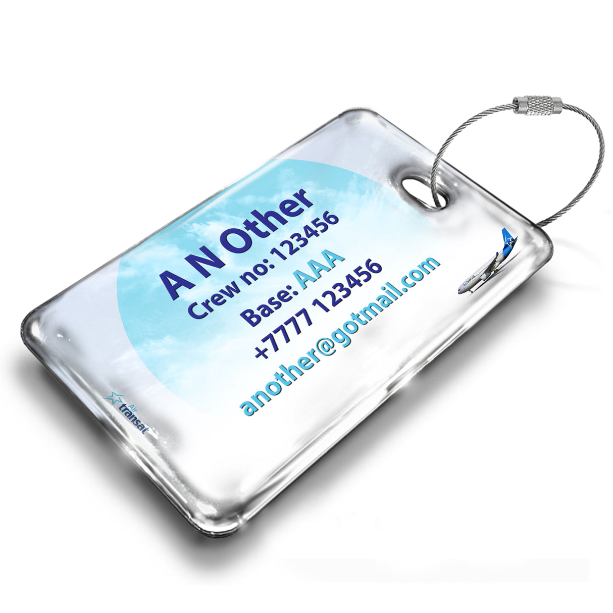 Air Transat A330 Landscape