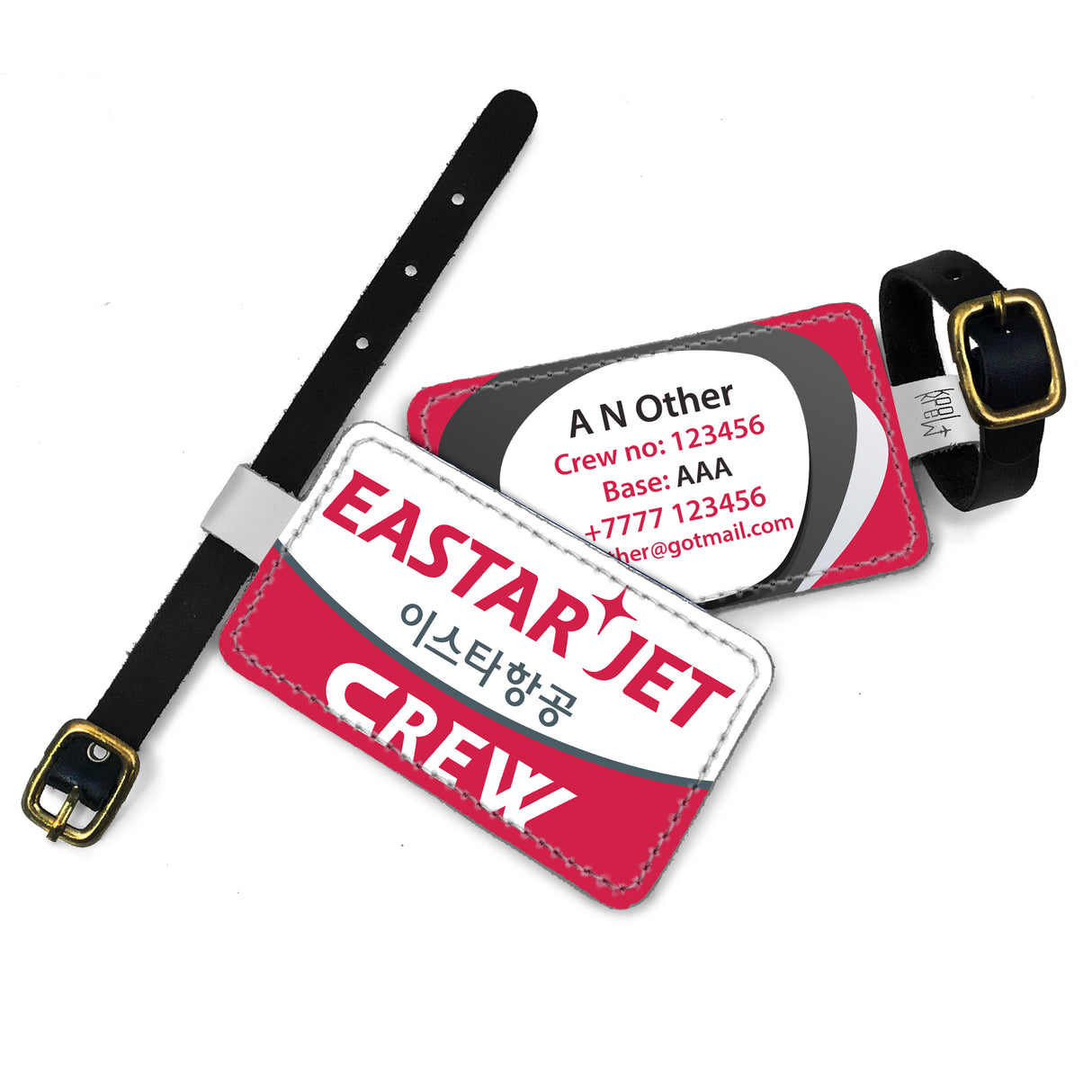 Easter Jet Logo Luggage Tag