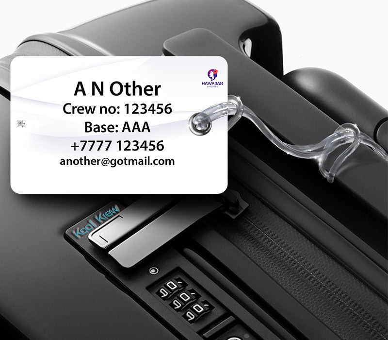 Hawaiian Airlines B717 White