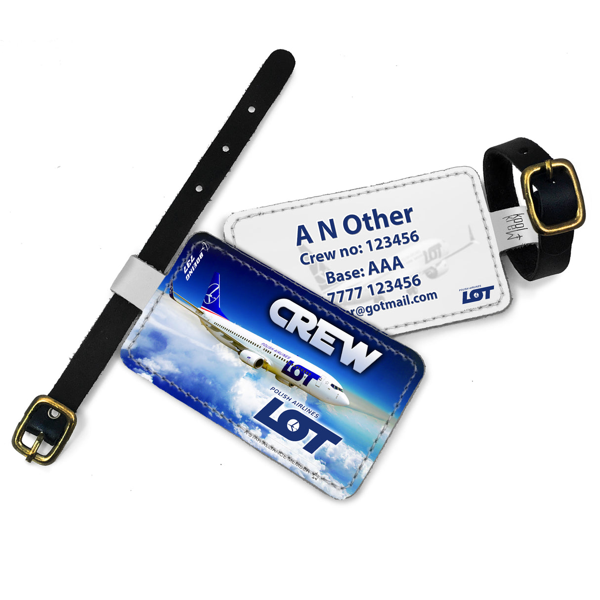 LOT B737-800 Skyscape