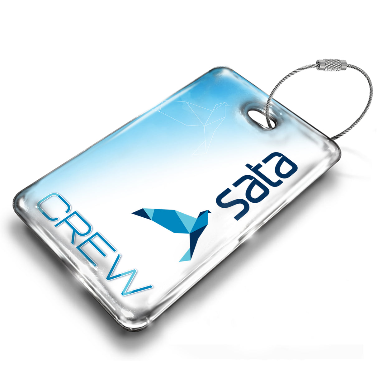 SATA Logo DUO