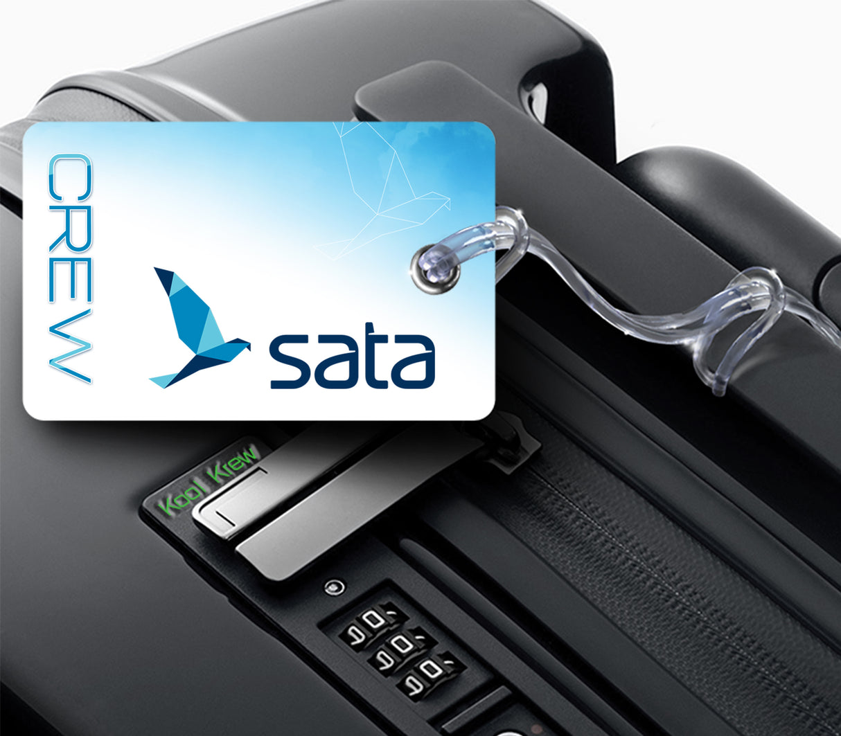 SATA Logo DUO