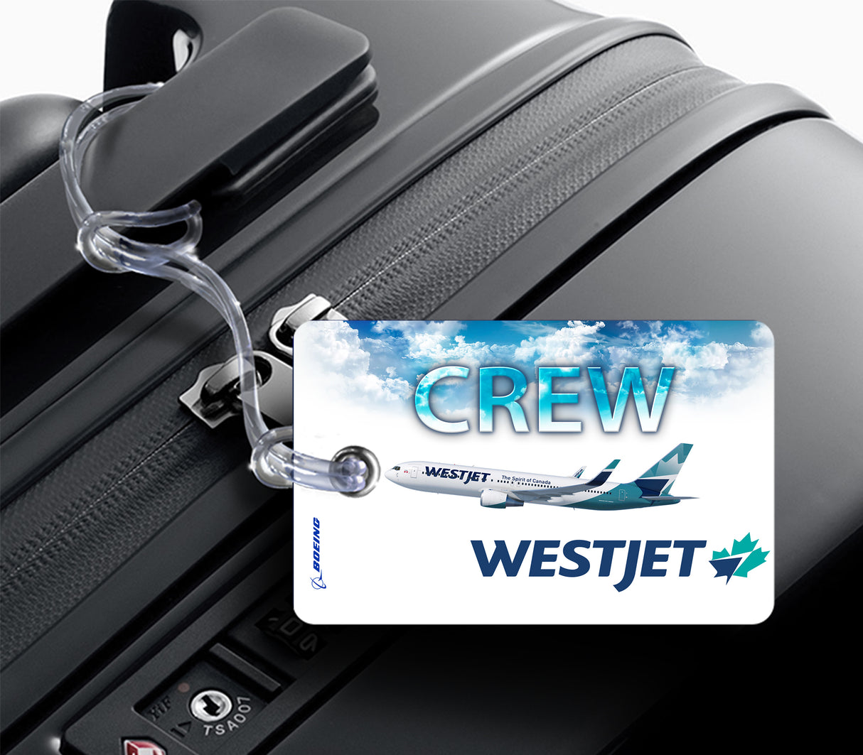 WestJet Boeing 767 Blue Skies