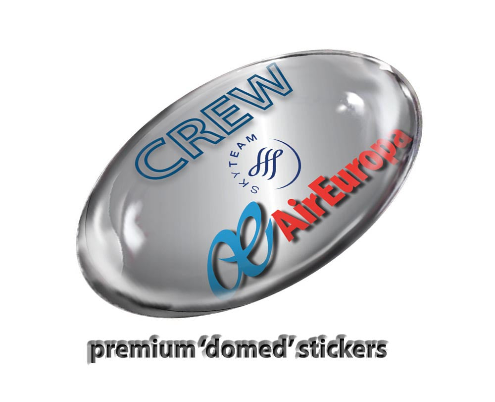 Air Europa Logo Stickers-Silver