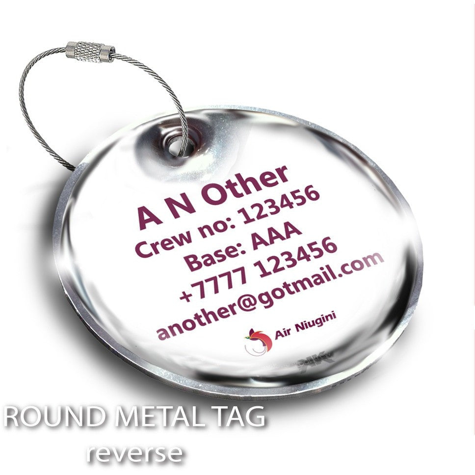 Air Niugini Logo landscape