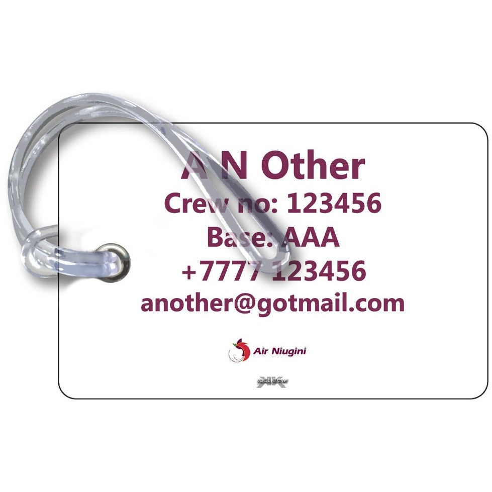 Air Niugini Logo landscape