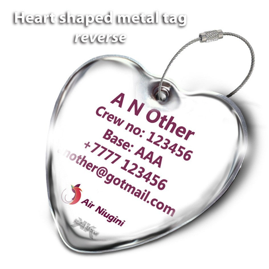 Air Niugini Logo landscape