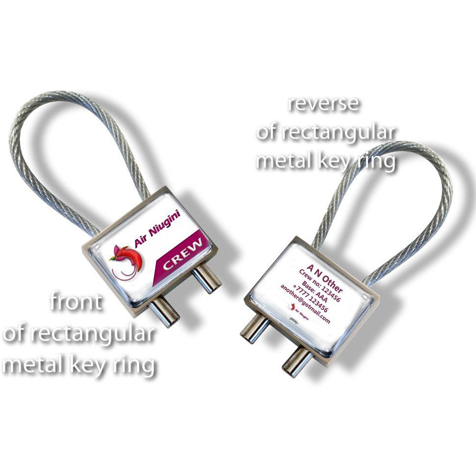 Air Niugini Logo landscape