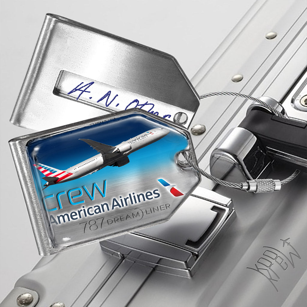 American Airlines B787 Landscape