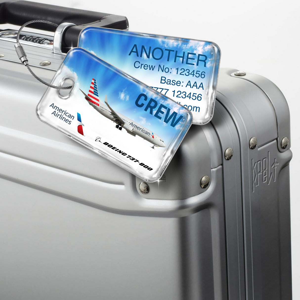 American Airlines B737-800