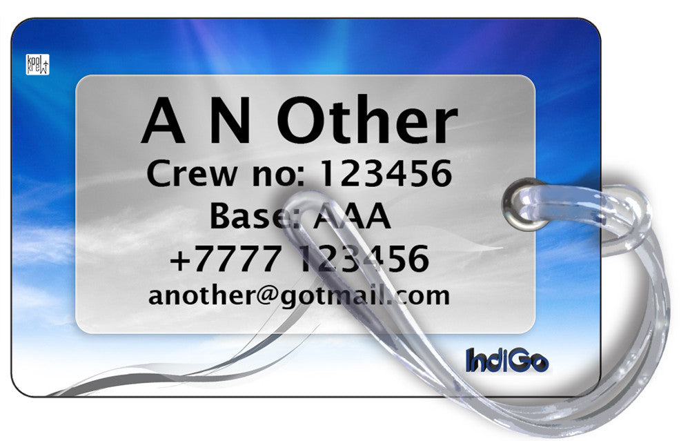 Indigo Airlines A320 DUO