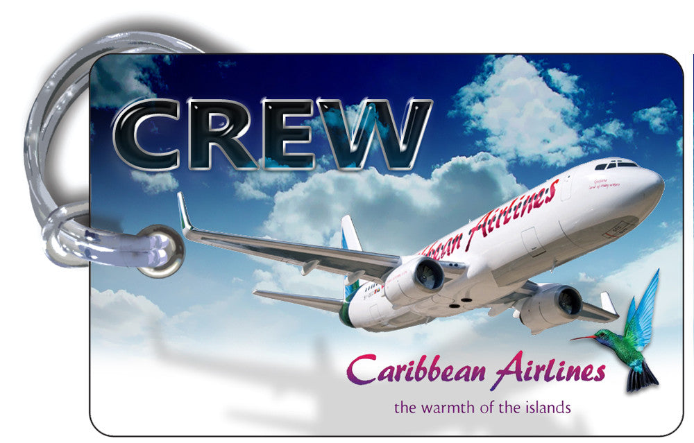 Caribbean Airlines B737 Landscape