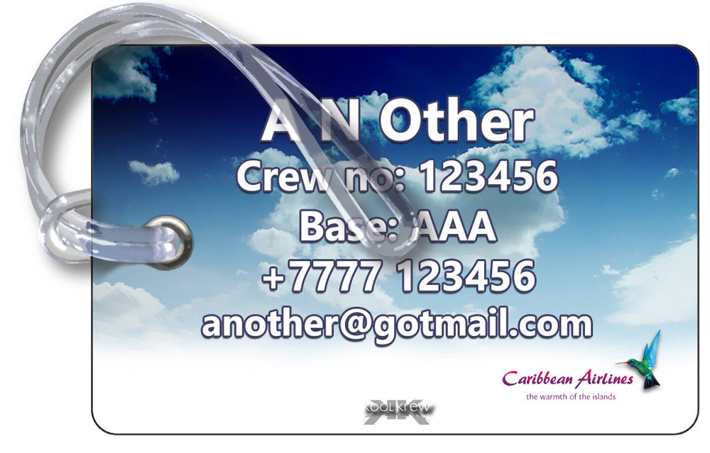 Caribbean Airlines B737 Landscape