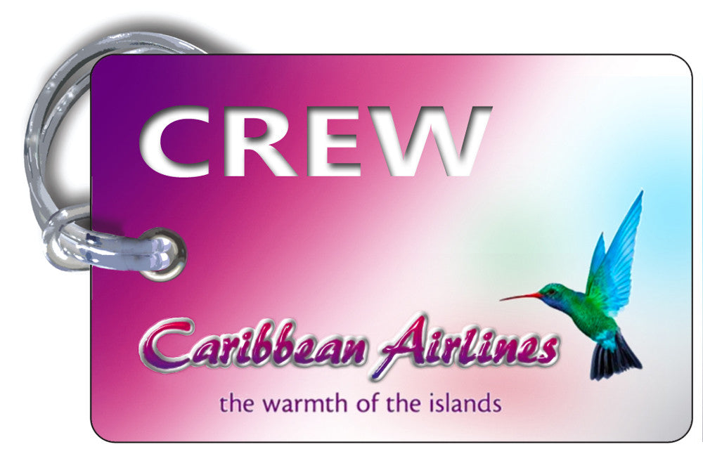 Caribbean Airlines Logo Landscape