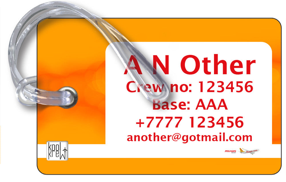 Pegasus Airlines Logo