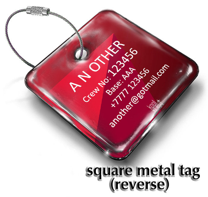 Endeavor Air LOGO - Delta Connection Portrait