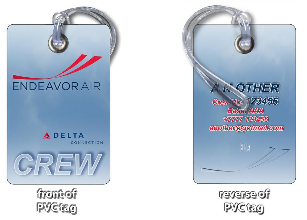 Endeavor Air LOGO - Delta Connection