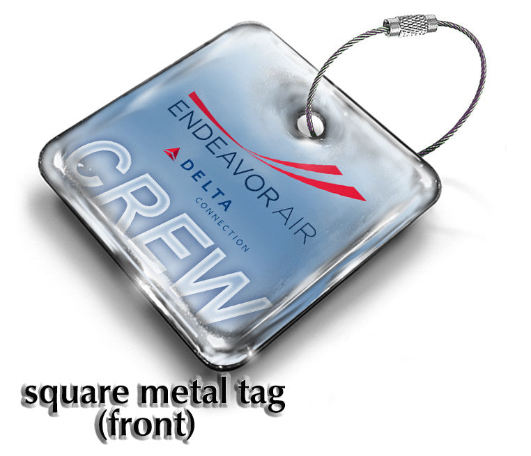 Endeavor Air LOGO - Delta Connection