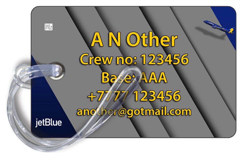 JetBlue Vets in Blue Livery