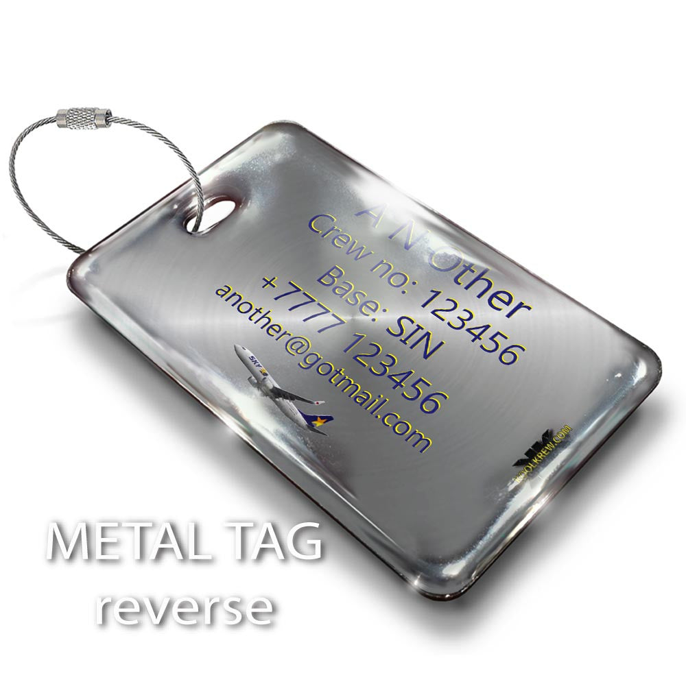 Skymark Airlines B737-800-Silver