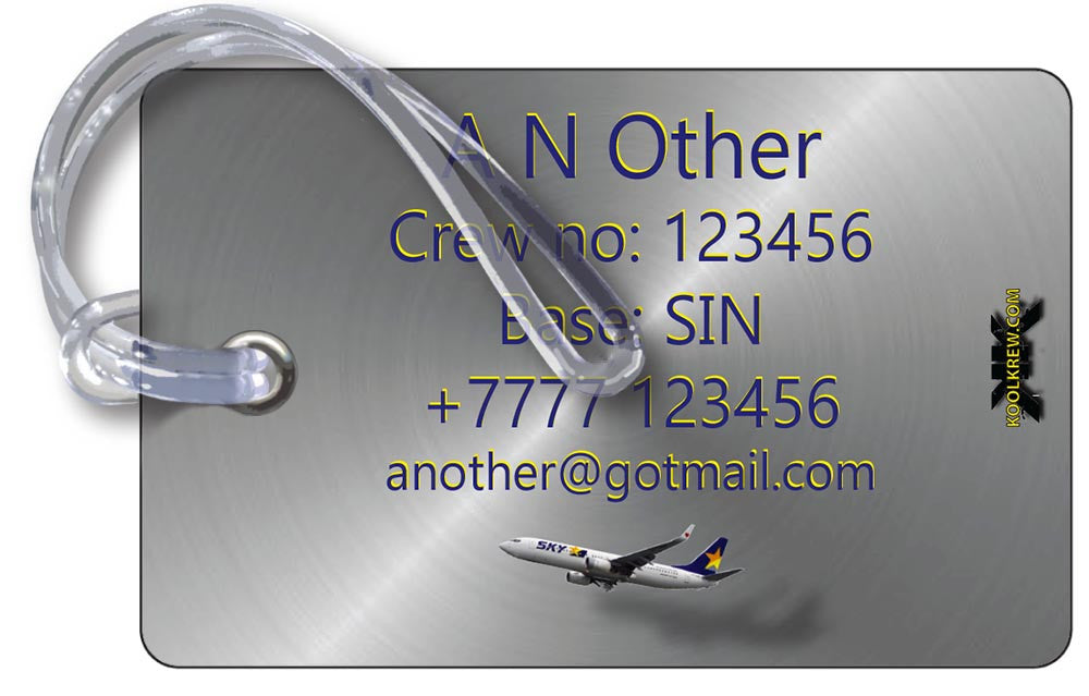 Skymark Airlines B737-800-Silver