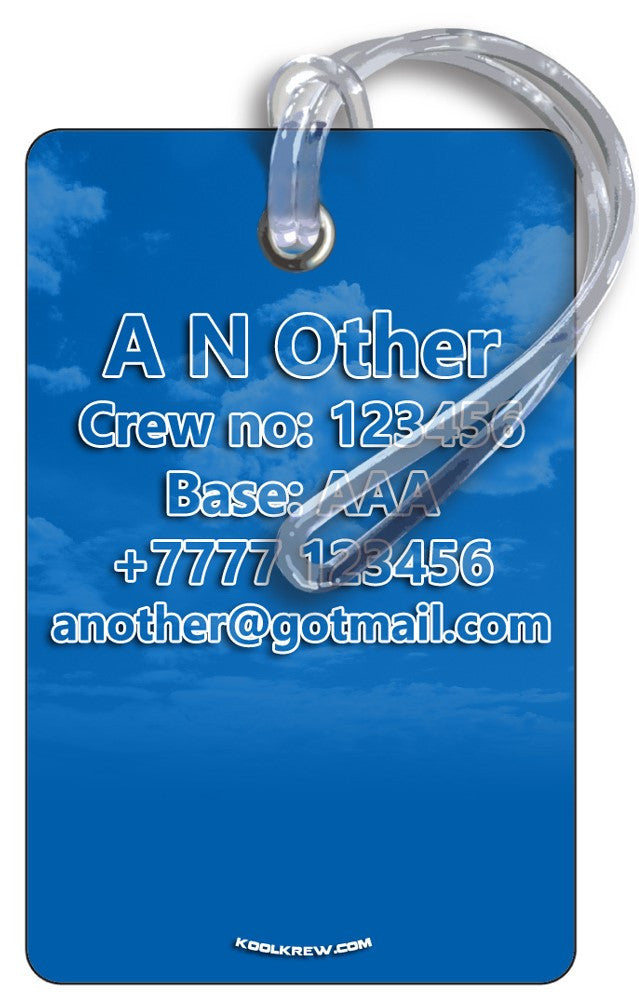 United A320 Portrait