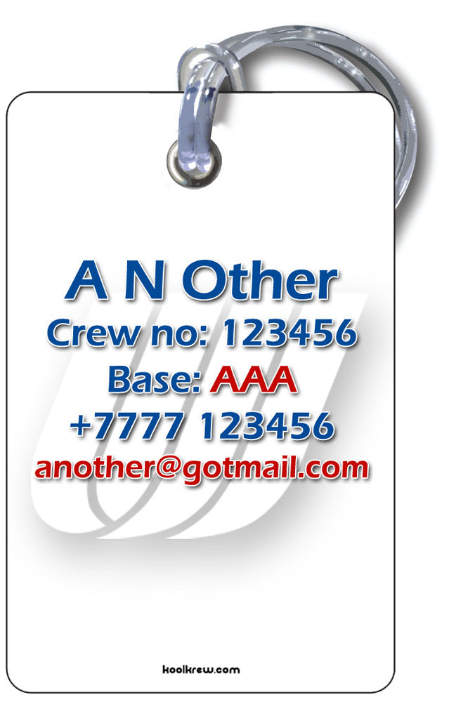 United Airlines Old Livery(Tulip)