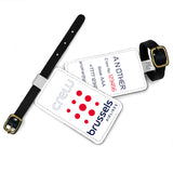 Brussels Airlines Logo Portrait