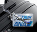 ANA 787 Dreamliner