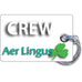 Aer Lingus Landscape White Luggage Tag