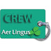 Aer Lingus Landscape GREEN Luggage Tag