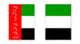 UAE Flag - Passport Cover
