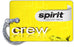 Spirit Airlines New Logo Gloss